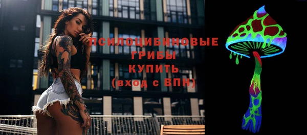 эйфоретик Алексин