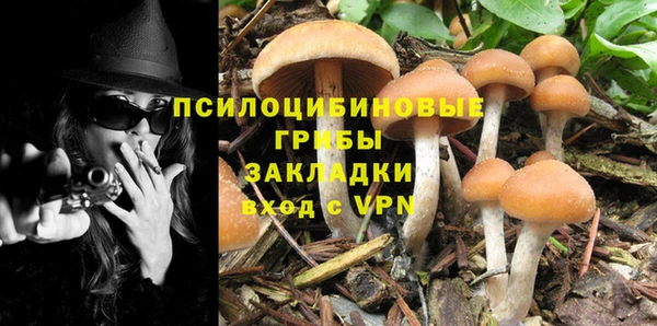 таблы Алзамай