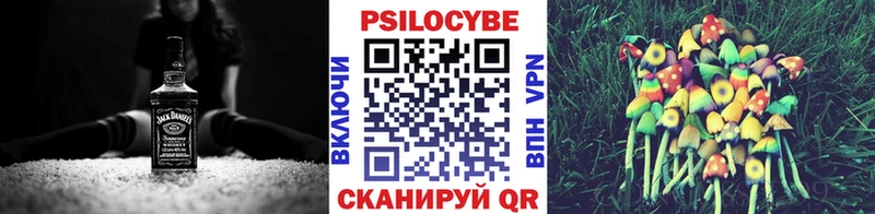 Галлюциногенные грибы Psilocybine cubensis Рошаль